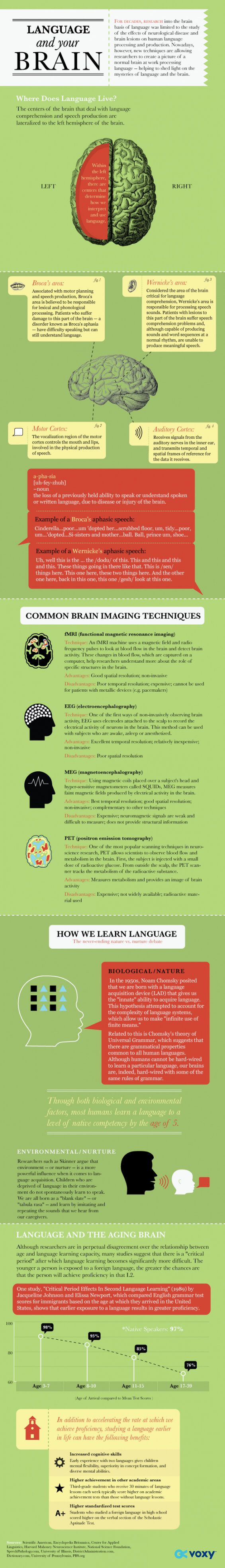 The Mechanics of the Brain (Infographic)