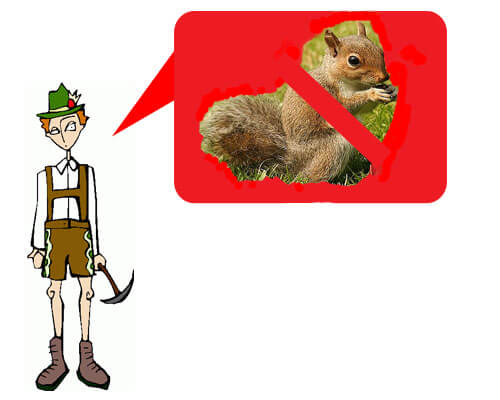 Why Germans Think the Word "squirrel" is Difficult to ...